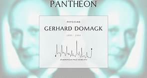 Gerhard Domagk Biography - German bacteriologist (1895–1964)