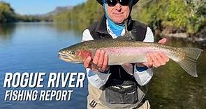 Rogue River Steelhead || Fishing Report || Confluence Outfitters