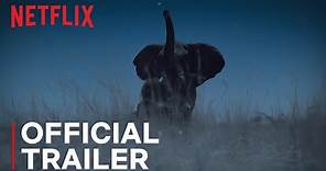 Night on Earth | Official Trailer | Netflix