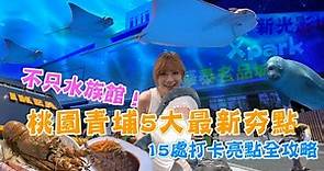 不只水族館！桃園青埔5大最新夯點 15處打卡亮點全攻略【食尚小編出任務】