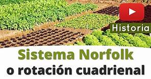 ⭐El Sistema Norfolk o rotación cuadrienal 📘 aulamedia