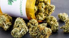 Medical marijuana near me? Here's where you can find medical marijuana dispensaries in Florida
