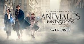 Animales Fantásticos y Dónde Encontrarlos - Tráiler Final Castellano HD