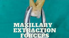 Maxillary Extraction Forceps - Identification, types and Uses