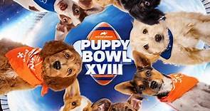 Ready, Set, Pup! Introducing Puppy Bowl XVIII