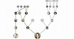 Connect to the Family Tree on FamilySearch