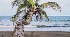 5 Best And Only Black Sand Beaches In Costa Rica for 2024