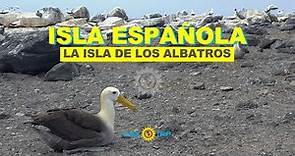 Isla Española en Galápagos con sus sonidos originales