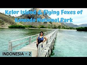 Kelor Island & Flying Foxes of Komodo National Park | Indonesia | Malayalam travel vlog with Eng sub