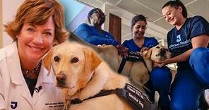 Meet ‘Maggie,’ the service dog who comforts staff at Jefferson Health