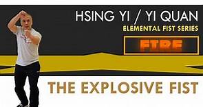 Hsing Yi / Yi Quan - Explosive Fist (Fire Fist) - Kung Fu Report #296