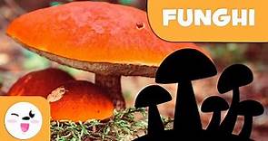 Cosa sono i funghi? – Il regno dei funghi per bambini