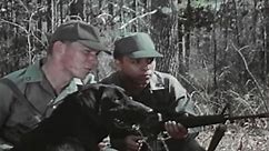 The Secret Vietnam War Dogs - Vietnam Conflicts