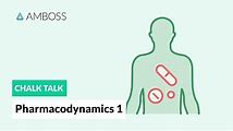 Pharmacodynamics Basics and Principles: How Drugs Act on the Body