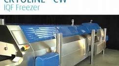 BOC Cryoline CW IQF Tunnel Freezer