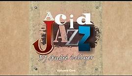 Acid Jazz, Rhythm and Blues and Chillout by DJ André Collyer (Volume 01)
