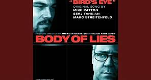 Bird's Eye (Original Song from the Motion Picture Body of Lies)