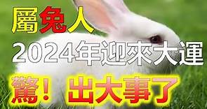 生肖兔在哪年迎來大運？2024年是否為兔人換運之年，2024年即將到來，許多人對於自己的命運變遷心懷期待。而對於生肖兔的人來說，2024年被認為是兔人換運之年。那麼，生肖兔在哪年迎來大運呢？十二生肖