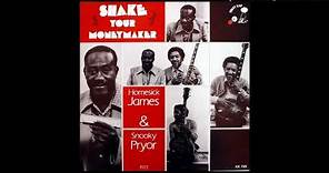 After You There Won't Be Nobody Else - Snooky Pryor And Homesick James (Live Germany 73)