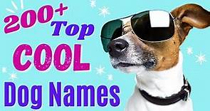 Top 200+ COOL Dog Names – Awesome Dog Name Ideas