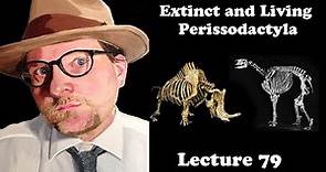 Lecture 79 Extinct and Living Perissodactyla
