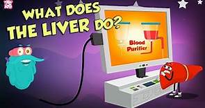 What Does The Liver Do? | Liver Functions | The Dr Binocs Show | Peekaboo Kidz