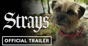 Strays - Official Red Band Trailer #2 (2023) Will Ferrell, Jamie Fox ...