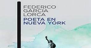 Resumen del libro Poeta en Nueva York (Federico García Lorca)