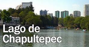 Lo que no sabías del Lago de Chapultepec | Exclusivo Web | Ruta Joven