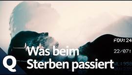 Das passiert im Körper, wenn wir sterben | Quarks