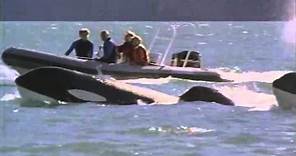 Free Willy 3: The Rescue Trailer 1997