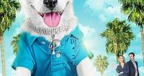 Pancho, el perro millonario - película: Ver online