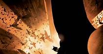 Batman Begins - film: guarda streaming online