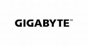 关于技嘉 - GIGABYTE 技嘉科技