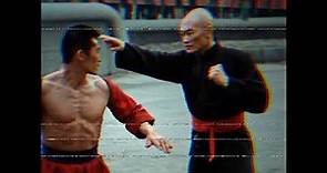 "The Martial Arts Mastery of Gordon Liu: A Legend's Journey"
