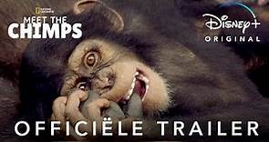 Meet The Chimps | Officiële trailer | Disney+