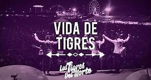 Vida de Tigres: Luis Hernández