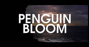 Penguin Bloom (2020) ITA streaming gratis
