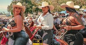 Impresionante CABALGATA en La Feria de Manizales COLOMBIA 🐴 2024