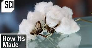 How Cotton is Processed in Factories | How It’s Made