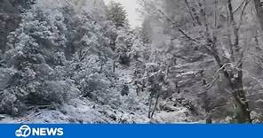 Residents enjoy a rare snow day in the Santa Cruz Mountains