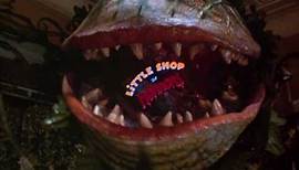 Little Shop of Horrors (1986): Teaser Trailer HQ