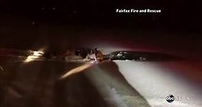 Saint Bernard Rescued After Falling Into Frozen Lake