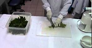 Preparation of Carica Papaya Extract