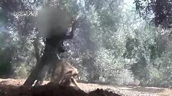 Hamas fighters fire mortar shells at Israeli targets