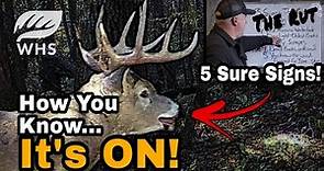 Top Signs The Rut Is ON!