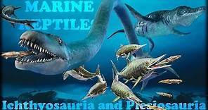 Evolution of Marine reptiles
