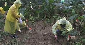 種樹行動：我們來種樹 (公共電視 我們的島第605集 2011-05-02)