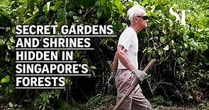 Secret gardens and shrines hidden in Singapore's forests