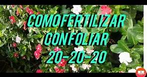 iiiCOMO FERTILIZAR!! CON FOLIAR 20-20-20